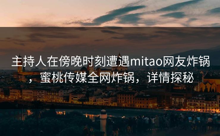 主持人在傍晚时刻遭遇mitao网友炸锅，蜜桃传媒全网炸锅，详情探秘