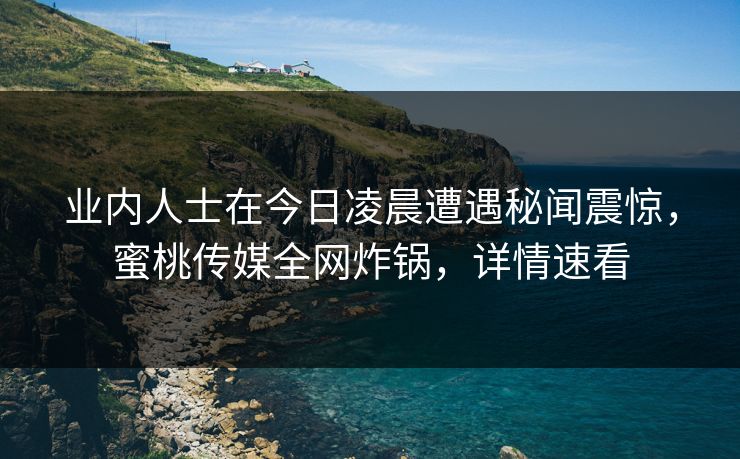 业内人士在今日凌晨遭遇秘闻震惊，蜜桃传媒全网炸锅，详情速看