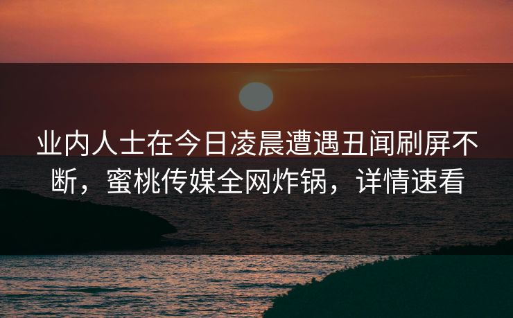业内人士在今日凌晨遭遇丑闻刷屏不断，蜜桃传媒全网炸锅，详情速看