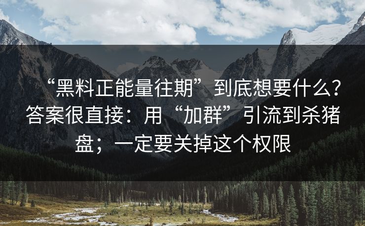 “黑料正能量往期”到底想要什么?答案很直接:用“加群”引流到杀猪盘;一定要关掉这个权限 “黑料正能量往期”到底想要什么?答案很直接:用“加群”引流到杀猪盘;一定要关掉这个权限
