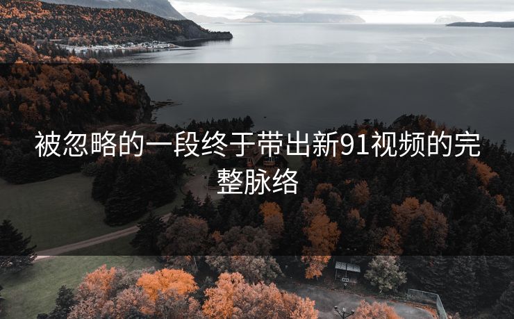 被忽略的一段终于带出新91视频的完整脉络
