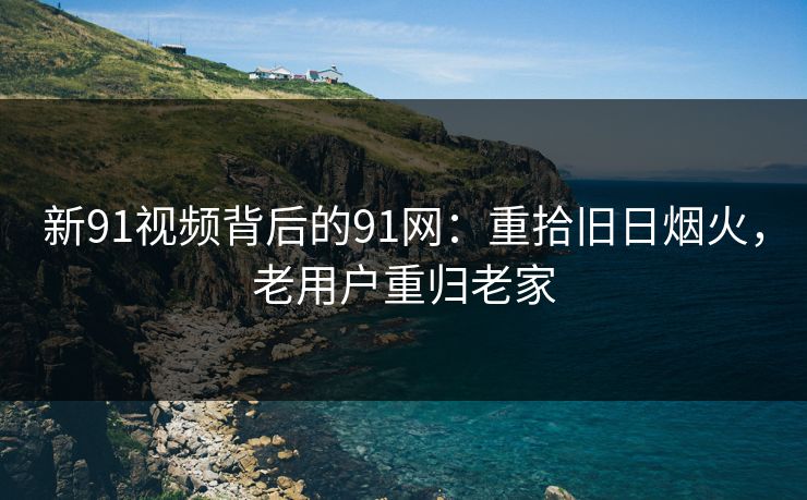 新91视频背后的91网:重拾旧日烟火,老用户重归老家 新91视频背后的91网:重拾旧日烟火,老用户重归老家